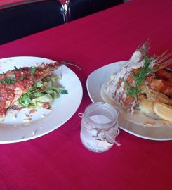 Bar&dinner PULSE