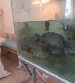 Ресторант Перла